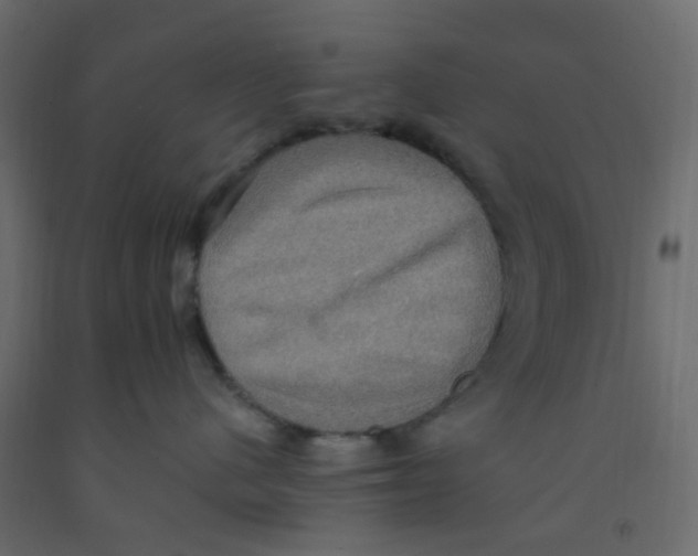 X0000092110480200710101147