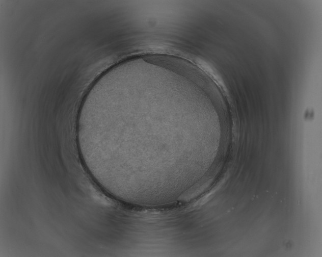 X0000092110481200710101146