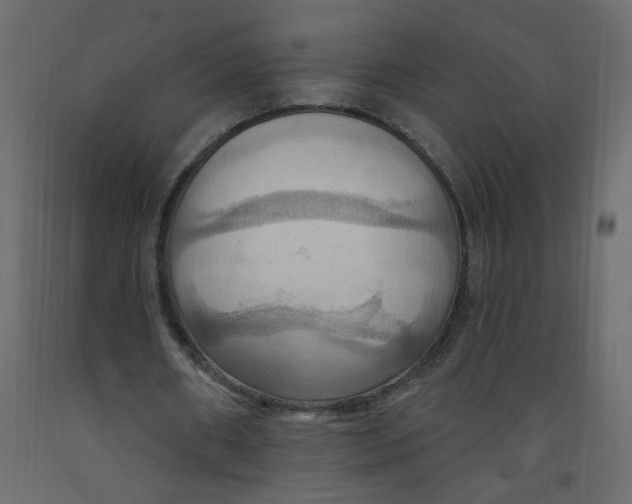 X0000092110482200710101146