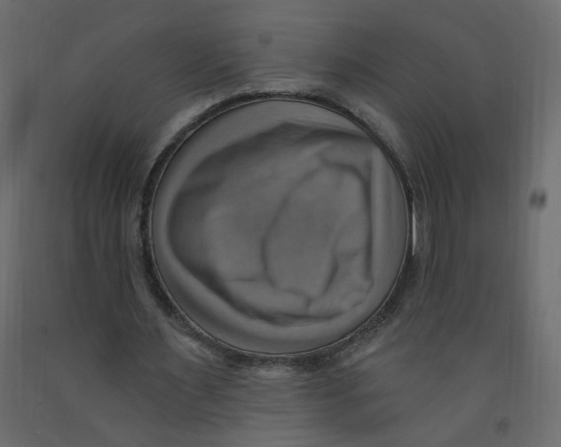 X0000092110483200710101146