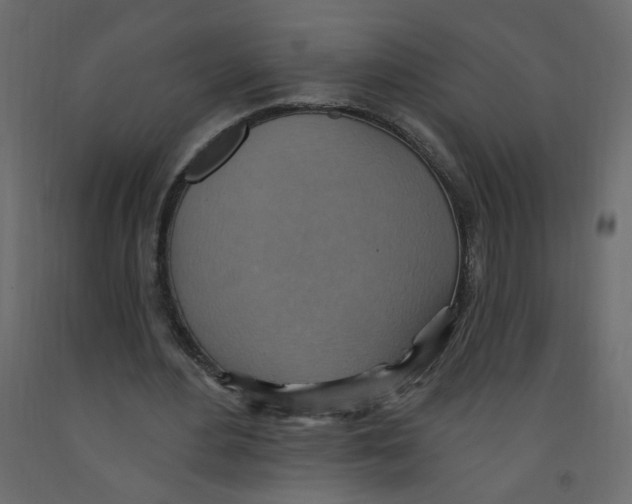 X0000092110484200710101146