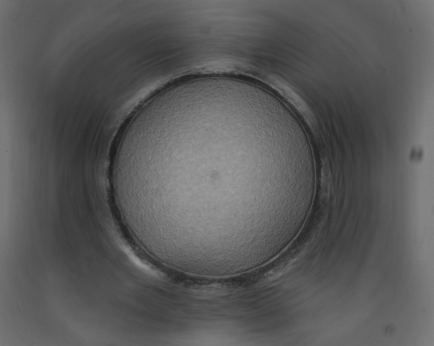 X0000092110485200710101146
