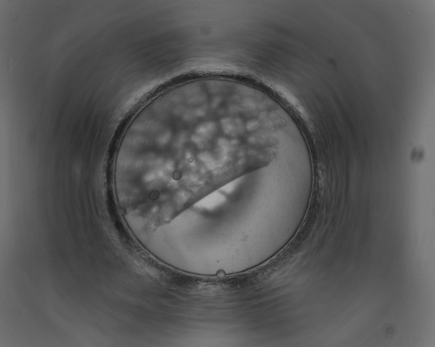 X0000092110487200710101146