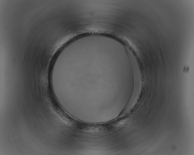 X0000092110488200710101146