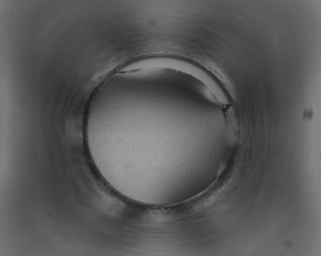 X0000092110489200710101146