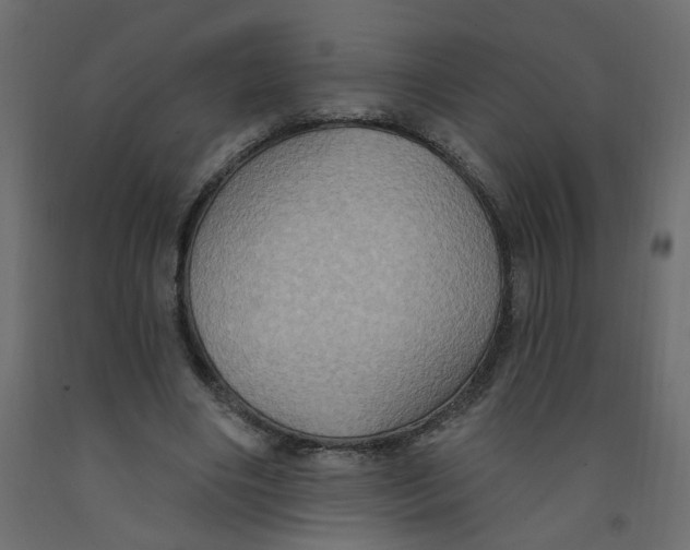 X0000092110490200710101146