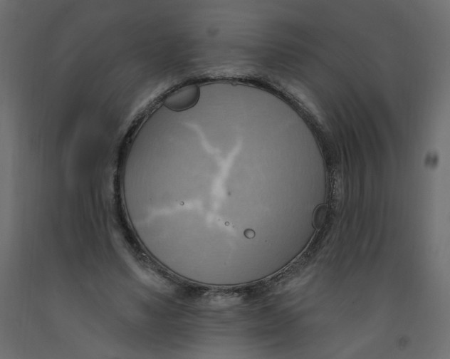 X0000092110491200710101146