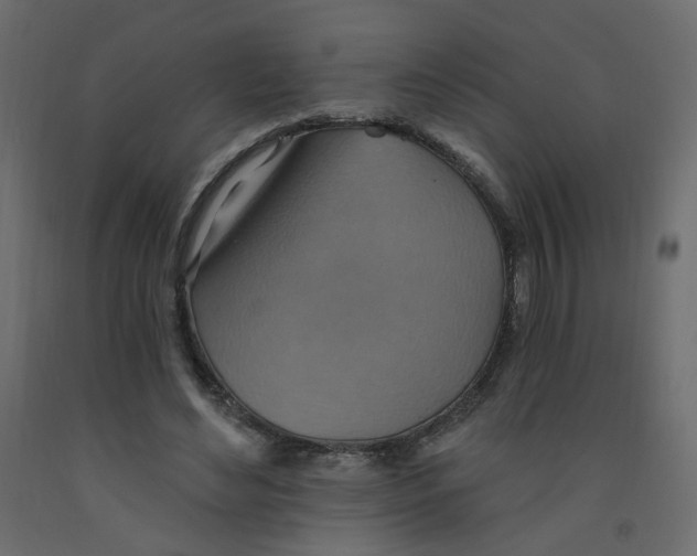 X0000092110492200710101146