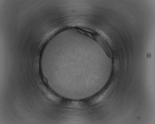X0000092110493200710101146