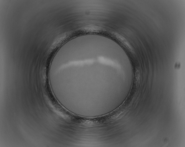 X0000092110494200710101146
