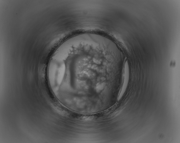 X0000092110495200710101146