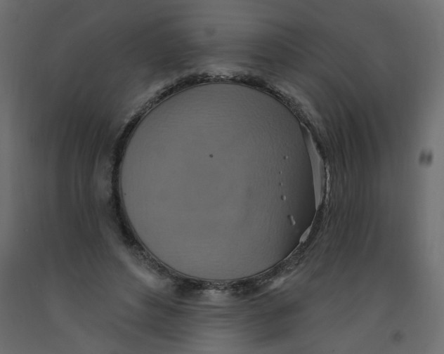 X0000092110496200710101146