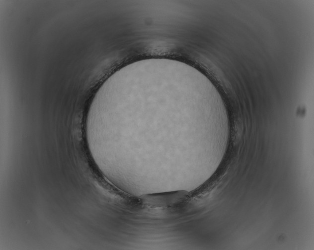 X0000092110497200710101146