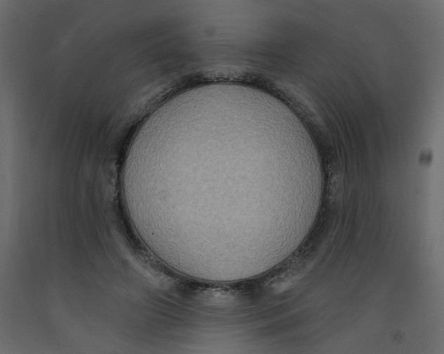 X0000092110498200710101146
