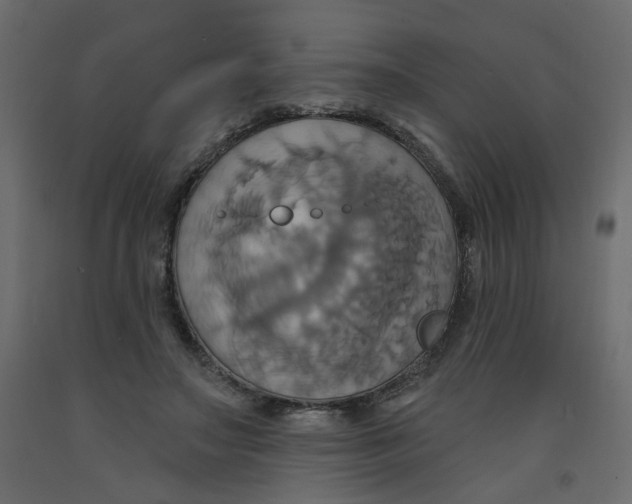 X0000092110499200710101146