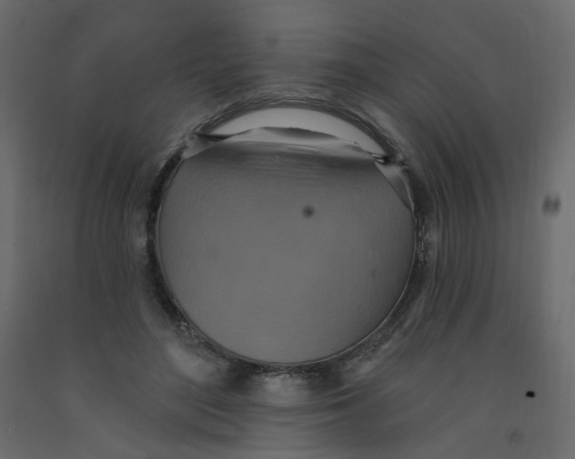 X0000092110500200710101146