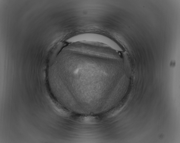 X0000092110501200710101146