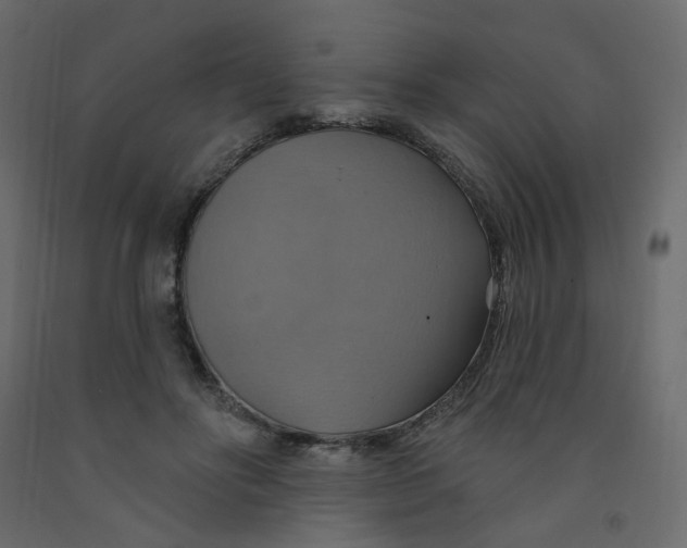 X0000092110502200710101146