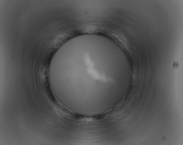 X0000092110503200710101146