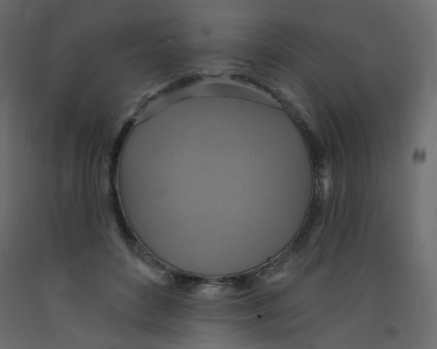 X0000092110504200710101146