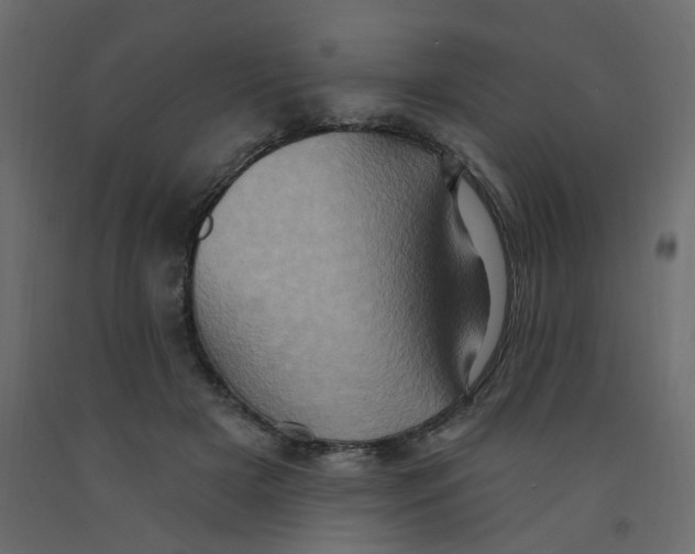 X0000092110505200710101146