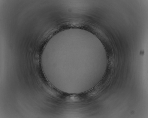 X0000092110506200710101146
