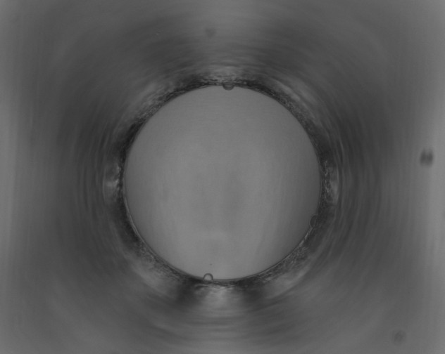 X0000092110507200710101146