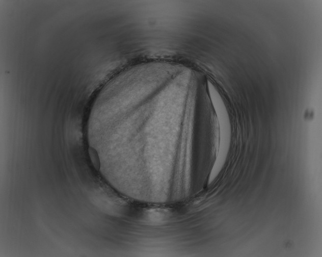 X0000092110508200710101146