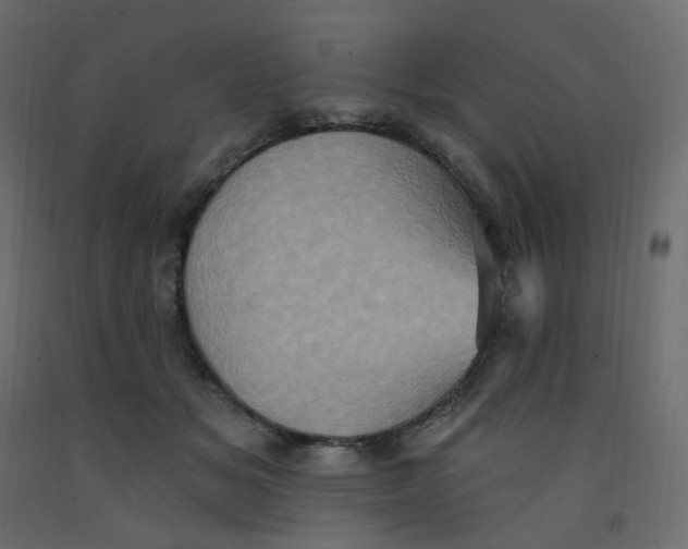 X0000092110509200710101146