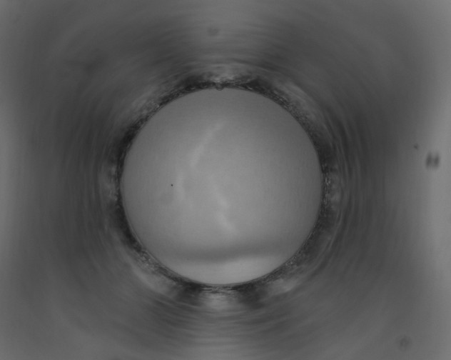 X0000092110510200710101146