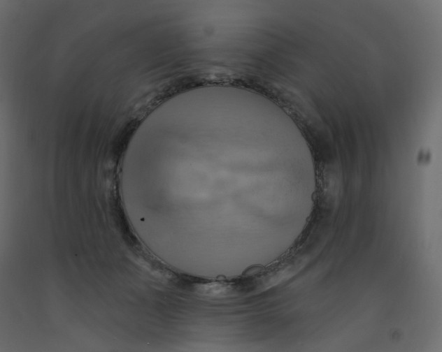 X0000092110511200710101146