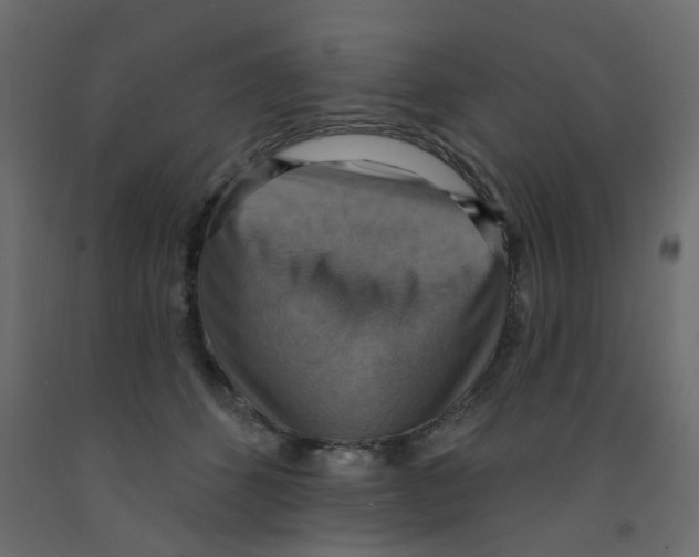 X0000092110512200710101146