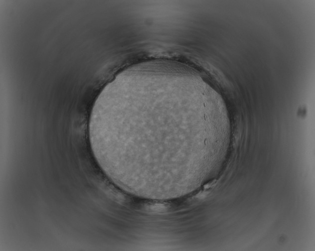 X0000092110513200710101146
