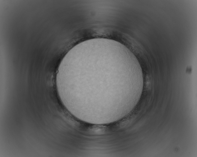 X0000092110514200710101146