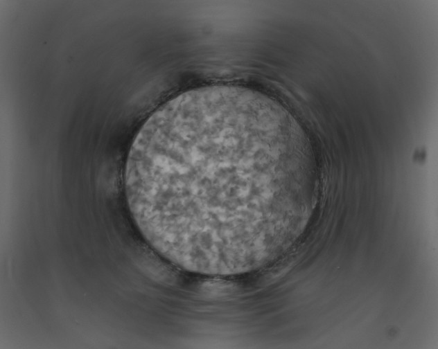 X0000092110515200710101146