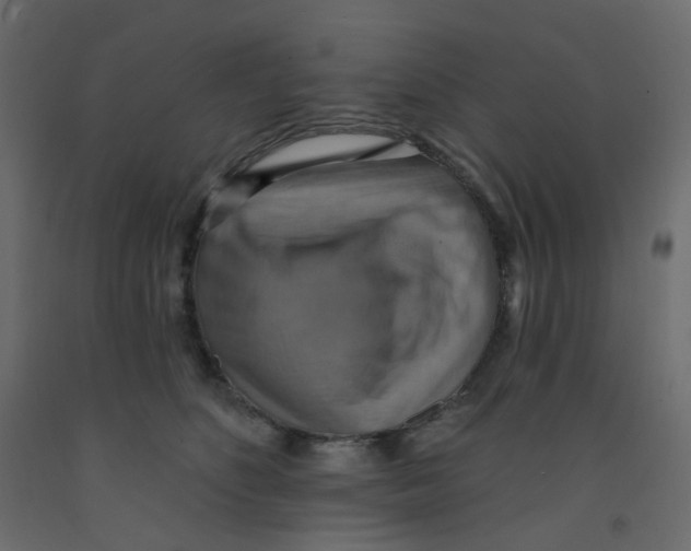 X0000092110516200710101146