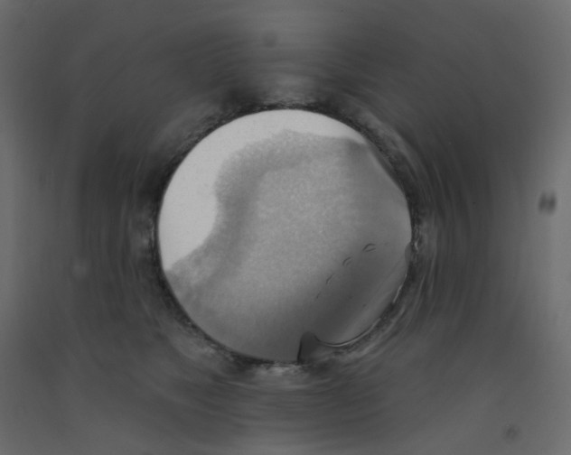 X0000092110517200710101146