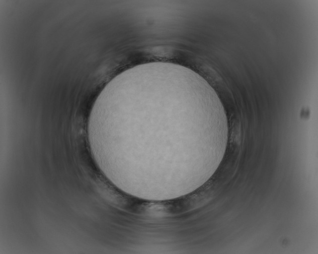 X0000092110518200710101146