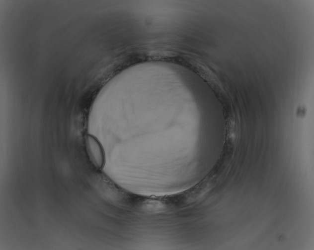 X0000092110519200710101146