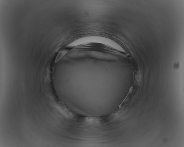 X0000092110520200710101146
