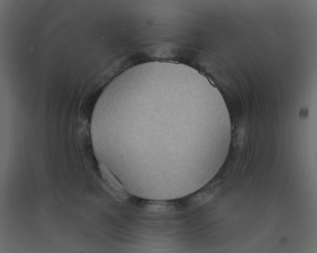 X0000092110521200710101146