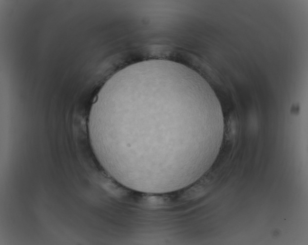 X0000092110522200710101146