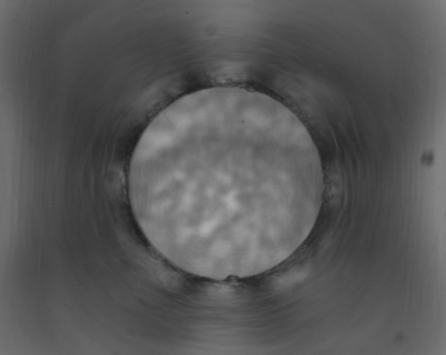 X0000092110523200710101146