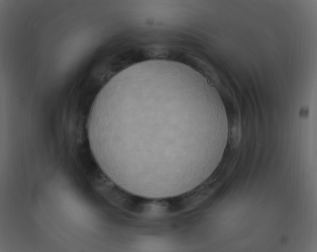 X0000092110525200710101146