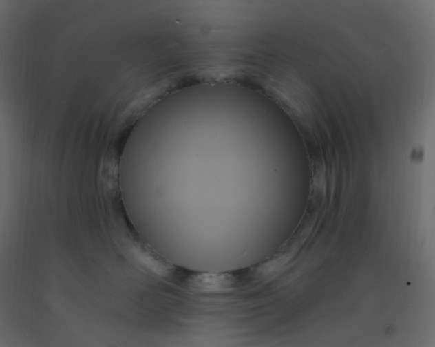 X0000092110526200710101146