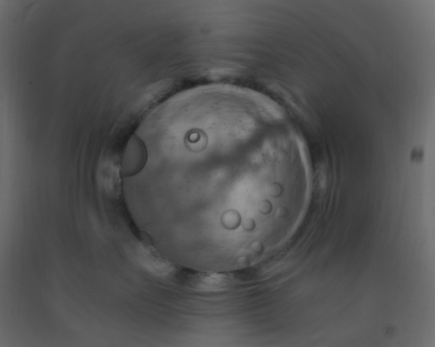 X0000092110527200710101146