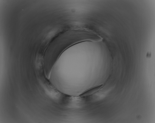 X0000092110528200710101146