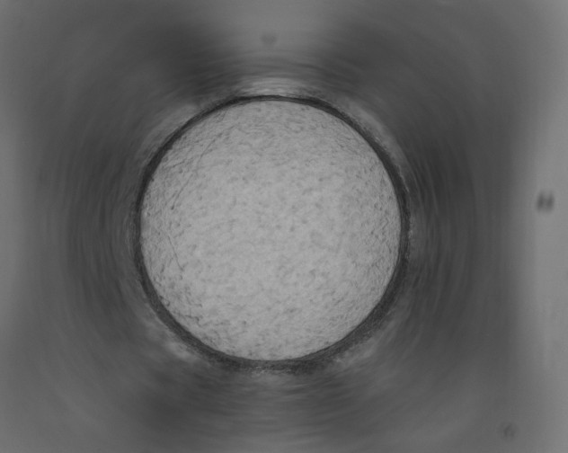 X0000092110529200710101145