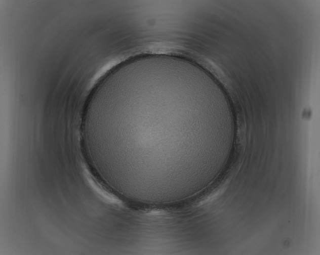 X0000092110530200710101145