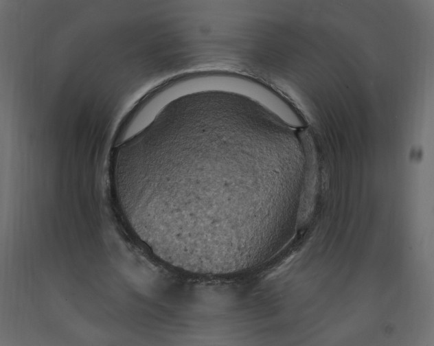 X0000092110532200710101145